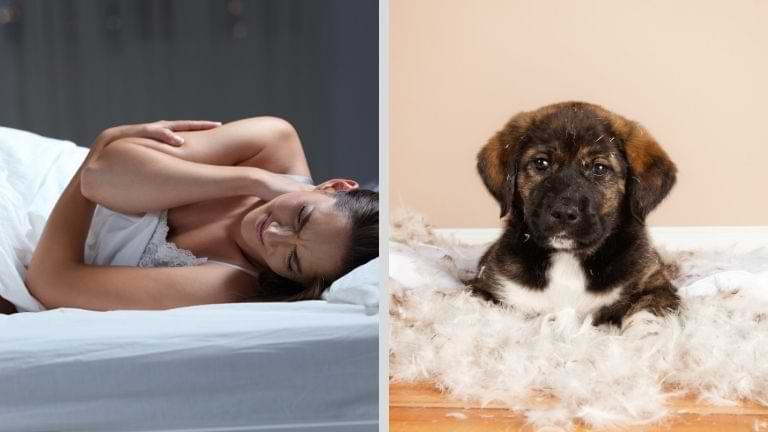 gel charcoal pillow